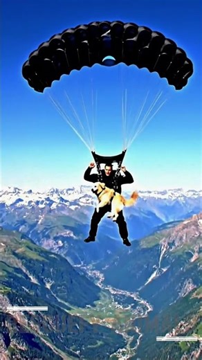 Labrador Retriever Stops a Helicopter, Saves Puppy from Hawk #animalrescue #Hawk #retriever