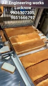 High speed Rusk/toast slicer installed in automatic rusk plant.