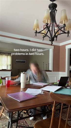 Flute player (@happyllama5555)’s video of ap pre calc