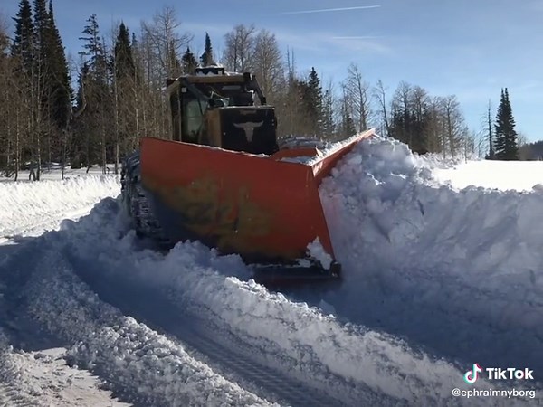 BarCollc Logger Showcases the Greatest Snow on Earth in Barber Nyborg