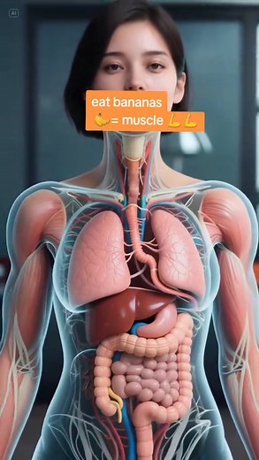 183K views · 986 reactions | banana are fast eatable for muscle making/ building or weight gaining. human body science tok AI ar | Humanfacts3d | Facebook