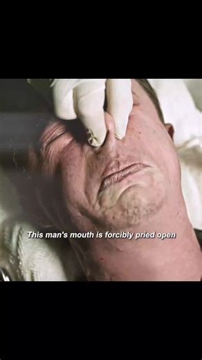 Creator Search Insights: Understanding Trends in Content