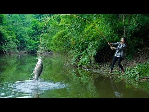 Catching giant carp with fermented corn kernel bait / Ban Thi Diet