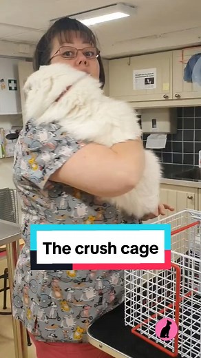 Challenges of Using a Crush Cage for Cats