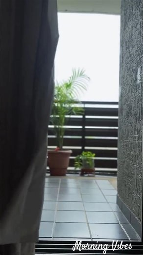 Morning Vibes 🌞 🌅🍃🐦...... #shorts #video #youtubevideo