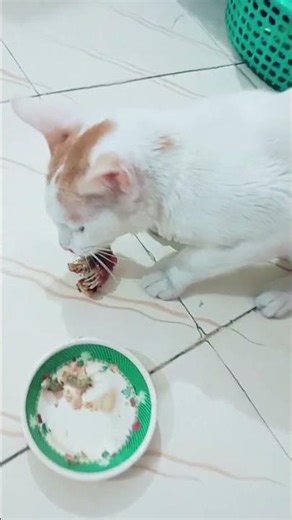 #trending #viralclips