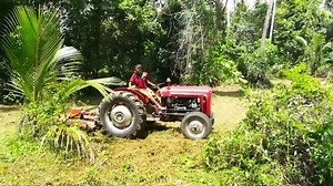 Massey Ferguson 35 Bush hogging | Mf 35 with lawn mover | Mf 35 Grass cutting |Mf 35 Tractor