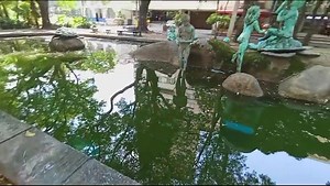 1.1K views · 54 reactions | La fuente del parque de las tortugas de Cali se encuentra con basura, habitantes de calle a sus alrededores y malos olores que tienen desesperados a los vecinos de esta zona. Lee más en: www.elpais.com.co Wirman Ríos | El País | El País Cali | Facebook