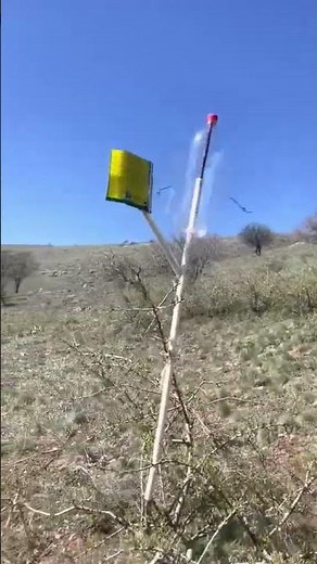 DIY Wind-Powered Scarecrow to Protect Your Plants | Easy and Effective