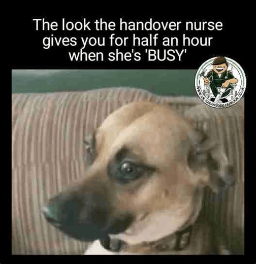Anyone still waiting to handover? | UK Paramedic Humour