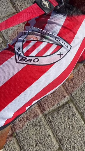 🏆 #Supercopa day‼️Morning walk for the team #AthleticClub 🦁 #TikTokDeportes #soccer #futbol #football