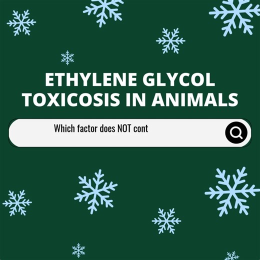 Ethylene glycol toxicosis is often fatal and primarily affects dogs and cats, though all species are susceptible. Most commonly found in vehicle radiator antifreeze, it is also available in a variety of other automotive and household products. Test your knowledge, then click to read more: https://mrkmnls.co/4g4McPx | The Merck Veterinary Manual