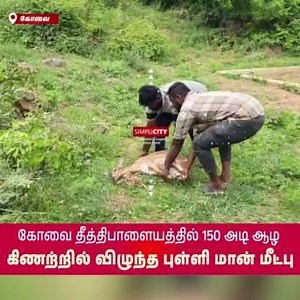33K views · 758 reactions | கோவை தீத்திபாளையத்தில் 150 அடி ஆழ கிணற்றில் விழுந்த புள்ளி மான் மீட்பு #Coimbatore #SimpliCitynewsCoimbatore #Tirupur #Nilgiris #Pollachi #viral #SimpliCityNews #SimpliCity #News #Video #CoimbatoreDiaries #CoimbatoreNews #KovaiNews | SimpliCity Coimbatore - Tamil News | Facebook