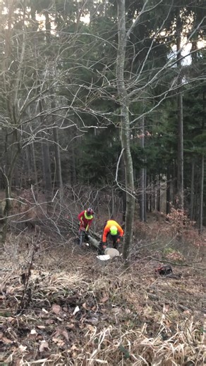 Hoizn @Matthias 🚜⛰️🇦🇹🚒 @Bernhard @️ 𝖉𝖆_𝖕𝖋𝖊𝖋𝖋𝖆 #Mccormick #landwirtschaft #fyp #Holz #foryoup
