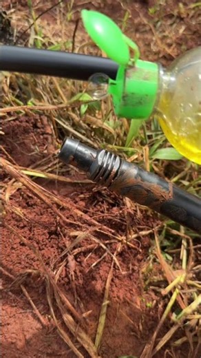 Cách kết nối ống LDPE và ống chính đơn giản bà con có chưa biết