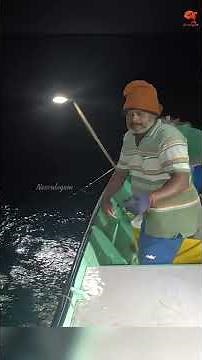 Barracuda Caught Using Indian Scad as Bait #fishing #fishingvideo #fishingtime