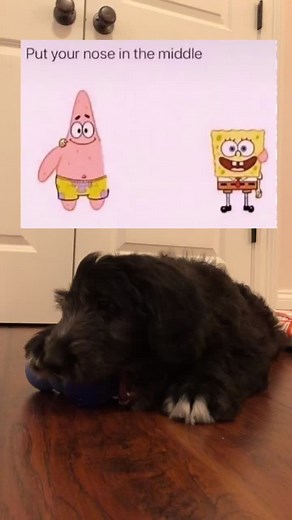 Unboxing the Perfect Gift of Game for a Happy Holiday Season!