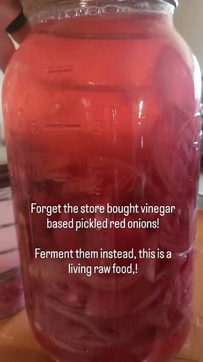Most people know pickled red onions… But have you ever tried fermented red onions? 👀✨ Vinegar-pickled onions are tasty, but they’re not alive — meaning no microbes, no fermentation, and no transformation of the nutrients. Fermented red onions, though? They’re a living food. A whole ecosystem of gut-healing microbes that literally predigest the onion for you — unlocking nutrients your body normally struggles to access. 💥 Fermentation can increase nutrient availability up to 10x 💥 Fibers break