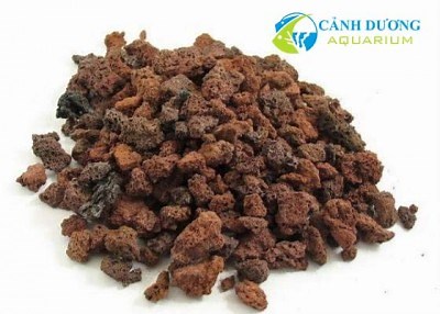 Hồ cá rồng công nghệ mới 4 lớp 2023 - Hồ Cá Cảnh Dương