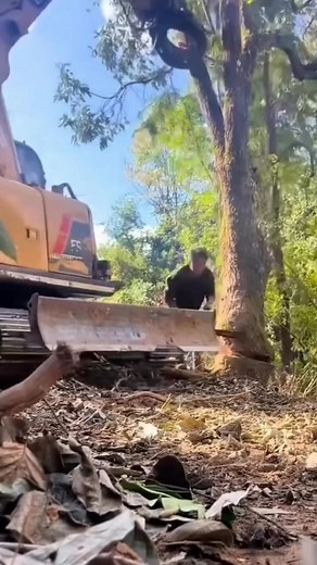 😢😢😢 | Survival Amazing