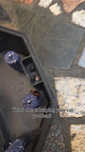 6.3K views · 13 reactions | You might be trying to fix one pest...