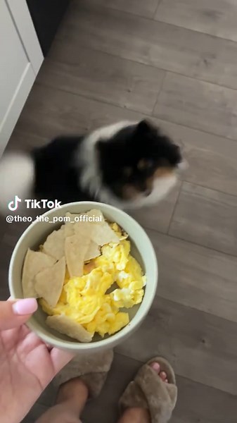 Theo on TikTok