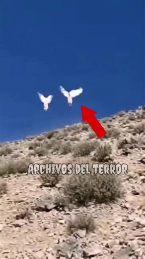 Ángeles reales captados en México