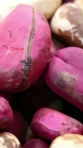 #voyance #oraclevoyant #france #paris #homme #femme