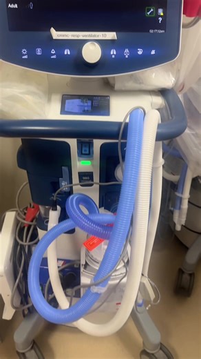 Understanding the Role of Respiratory Therapists in Healthcare