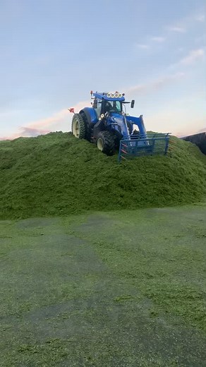 New Holland Tractor in Action: Heavy-Duty Agriculture