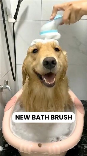 Pet Bath Brush #dogproducts #petproducts #dogowners #catowners #petowners