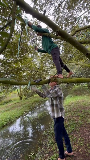 Nghề tay trái thêm nghề tay mặt tiếp luôn cặp dò 😀 | Viet Tran