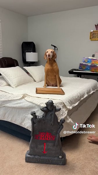 Beetlejuice Halloween Makeup Tutorial for a Fun Date Night