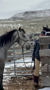 2.9K views · 153 reactions | It was cold that day!!!! #310ranchlife #310ranchropes #america #nevada #cowboy #buckaroo #buckaroogear #buckarootraditionsgathering | 3:10 Ranch Life | Facebook