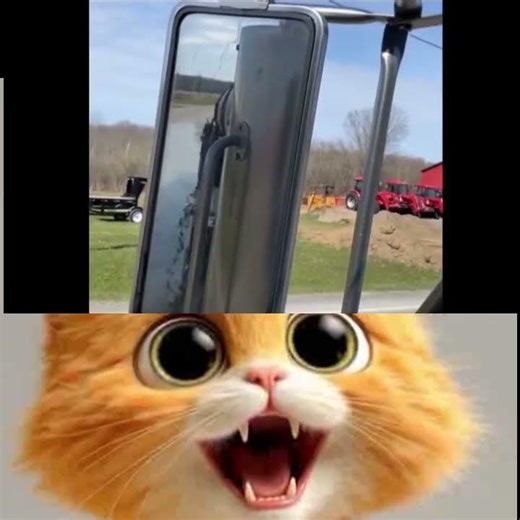 Truck Tank Explodes on Road 🤯💩 | Worst Day Ever #catreaction #viral
