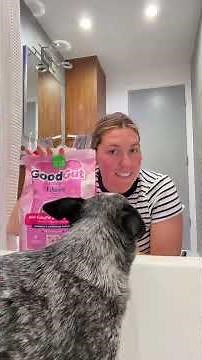 Itchy Dog Bath Routine That Actually Works 🐶✨