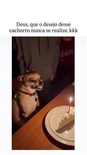 Trechos do café ☕️ on Instagram: "🤣🤣"