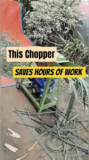 Turn Grass to Feed in Seconds with This Machine ✨