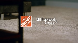 PetProof Carpet Technology