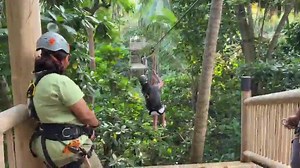 I've reached a new milestone on my YouTube channel: we're now officially a community of ONE MILLION travelers. That's pretty insane and I want to thank each & every one of you ❤️ To 'celebrate' this milestone, I made a short video featuring some of my travel highlights over the past years. Tilt your phone for the best view and don't forget to turn on the sound since the video features an amazing, powerful soundtrack! I launched the YouTube channel a few years ago, as a way to cope with my fear o