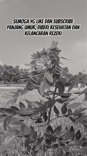 Semoga yang sakit disembuhkan dan rezekinya dilancarkan #shorts #doa #doamustajab #kunfayakun #viral