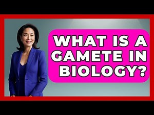 What Is A Gamete In Biology? - Biology For Everyone