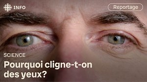 1.9K views · 30 reactions | En plus de lubrifier et de nettoyer la surface de l'œil, le clignement des yeux jouerait un autre rôle, celui de favoriser la perception des éléments associés aux formes brutes d’une image, comme les contours d’un visage ou les ombres. | Radio-Canada Science | Facebook