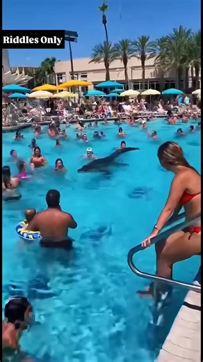 When the pool party gets a little too wild  | Riddles Only | Facebook