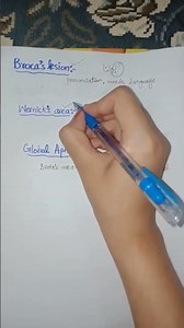 Broca's Aphasia And Wernicke's Aphasia||Global Aphasia||Zeenad Learning Hub