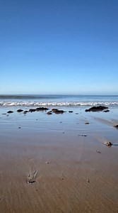 Moussues | Stéphane MARIE