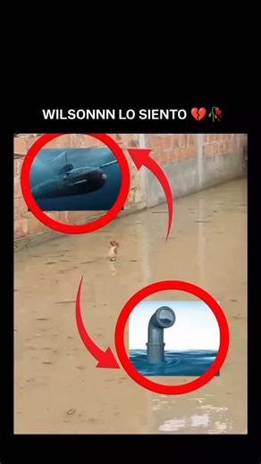 Aqonira | The viral “Submarine vs. Drainpipe” meme thrives on absurdity—showing a chicken walking through floodwater, then overlaying a cartoon... | Instagram
