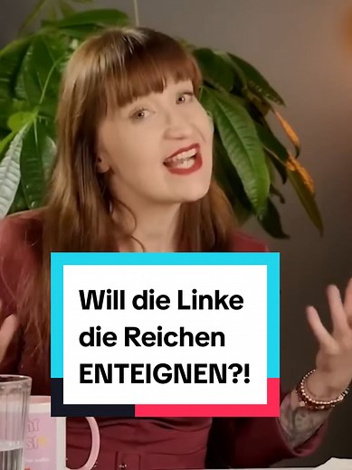 Will die Linke die Reichen enteignen?