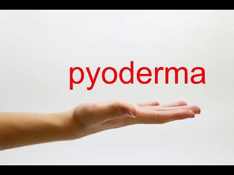 How to Pronounce pyoderma - American English