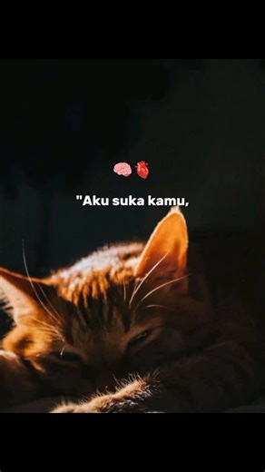 qiff on TikTok